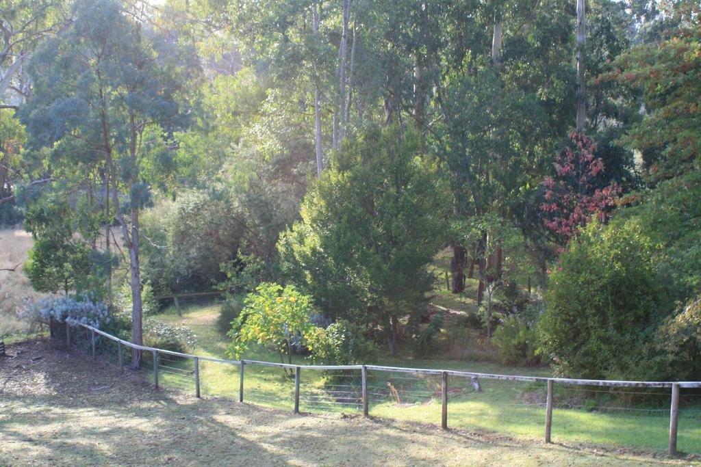 Strathmore Farm B&B Mirboo North Екстериор снимка